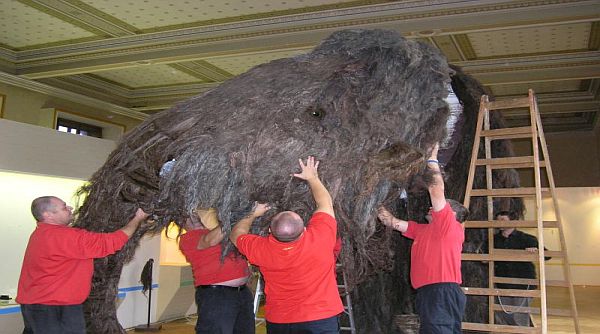 Taking apart the mammoth gave hell to several men of might and took about two hours. Taking apart the mammoth gave hell to several men of might and took about two hours.