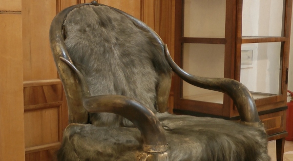 Exponát v salónku věnovaném rodině Kinských foto: křeslo ze zvířecích kůží