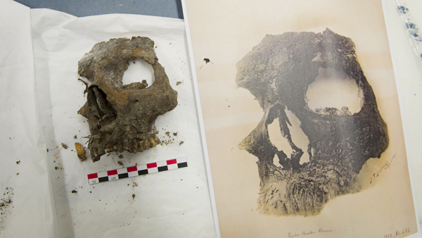 fotografie lebky Tycha Braha