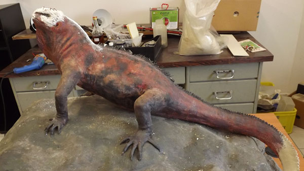 Původní stav modelu leguána mořského Původní stav modelu leguána mořského.