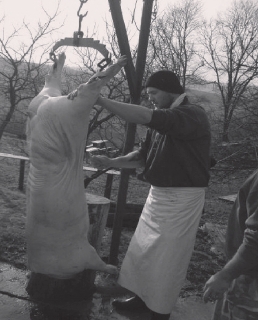 soudobá vesnická zabijačka