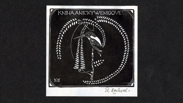 Autorka Anna Macková. Kniha Aničky Wenigové. Ledňáček na stromě. Dřevoryt, 1916.