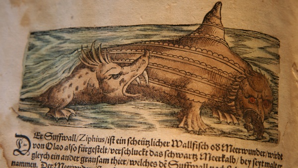 Souboj mořských oblud Souboj mořských oblud