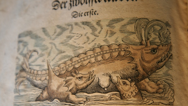 Dobová představa o velrybě Dobová představa o velrybě