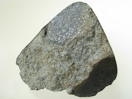 Praskolesy u Berouna