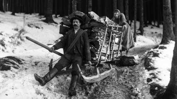 Svážení dřeva na saních Svážení dřeva na saních bylo nebezpečnou prací, dřevaři je ve svazích brzdili jen vlastní silou za pomoci trámků, řetězů a tažené otepi zvané „kocour“. Na snímku svážení dříví u Koutu na Šumavě.