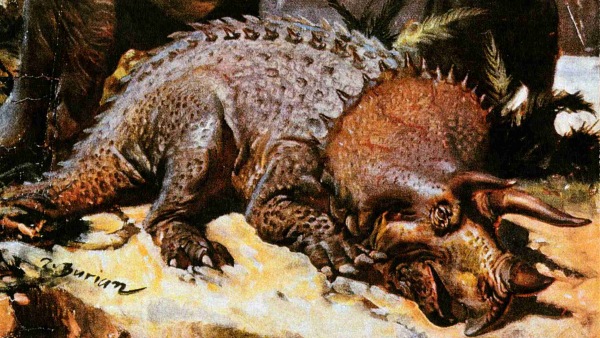 Detail obálky prvního sešitu Divů prasvěta