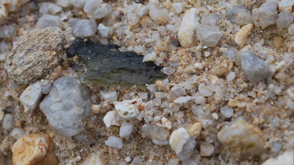 Vltavín v přirozeném prostředí