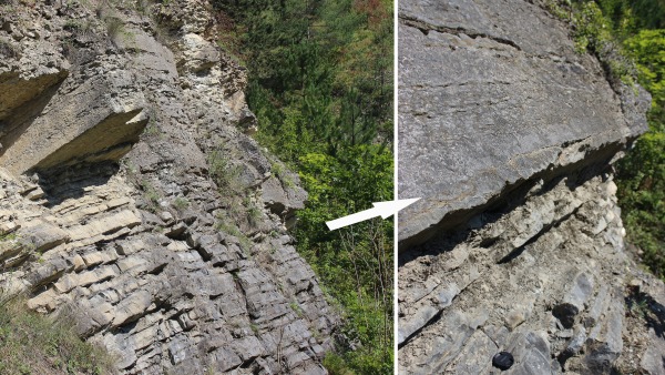 Profil v Černé rokli u Kosoře na okraji Prahy odkrývá dopady klimatické změny, ke které došlo před asi 410 miliony lety. Nápadné rozhraní přibližně v polovině skalní stěny vyznačuje ukládání odlišného typu vápenců jako důsledku globálního oteplování ve spodním devonu. Profil v Černé rokli u Kosoře na okraji Prahy odkrývá dopady klimatické změny, ke které došlo před asi 410 miliony lety. Nápadné rozhraní přibližně v polovině skalní stěny vyznačuje ukládání odlišného typu vápenců jako důsledku globálního oteplování ve spodním devonu (foto: František Vacek, Národní muzeum)