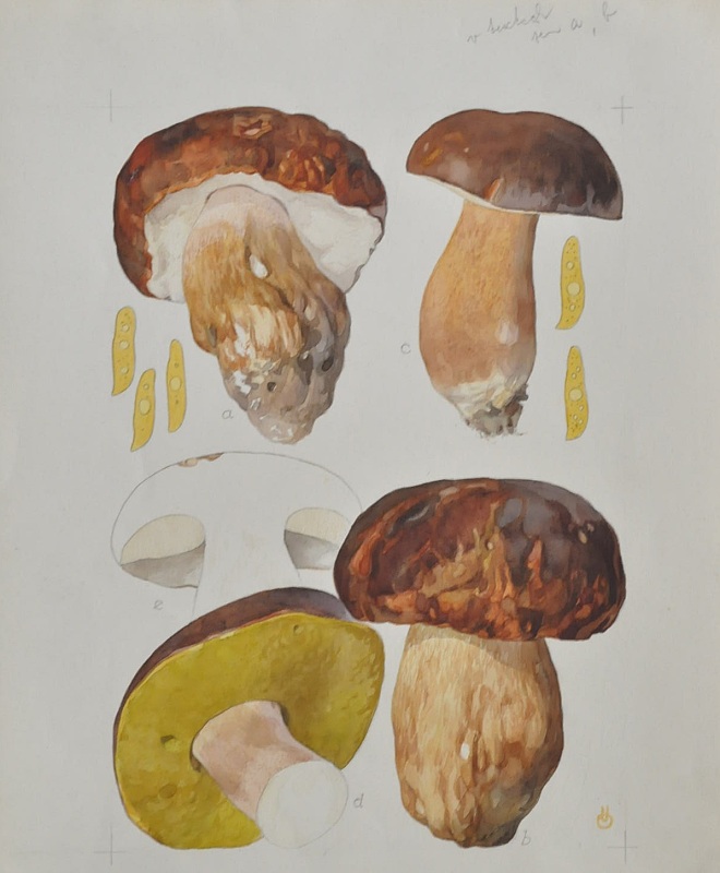 Originál kresby Otty Ušáka (zdroj: Národní muzeum)