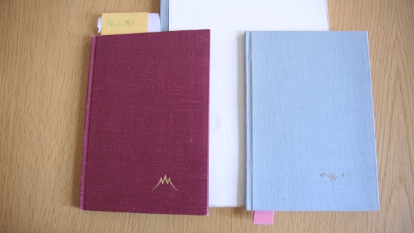 Obaly Havlových her Horský hotel a Audience z edice Petlice v plátěné vazbě.