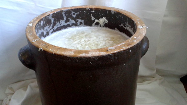 Povrch zelí v soudku musí být zakrývat několik centimetrů láku. fotografie soudku se zelím