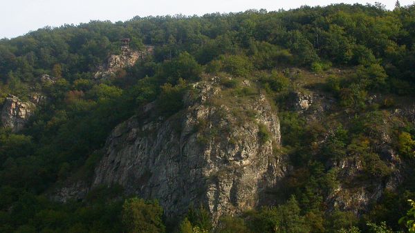 Hardeggské svahy s Hardeggskou vyhlídkou (na snímku vlevo nahoře), pohled od řeky Dyje z nejmenšího rakouského města Hardegg. Na skalních stepích v okolí Hardeggské vyhlídky bylo zjištěno více než 950 druhů motýlů. Mezi jinými i velmi vzácná krásněnka Epicallima bruandella (Ragonot, 1889), která zde byla v roce 2000 objevena jako nový druh pro Českou republiku a dosud nebyla jinde v Česku nalezena.