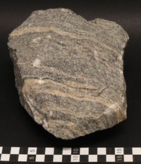 Tato hornina z jihozápadního Grónska představuje jednu z nejstarších součástí kontinentální zemské kůry. Původní žula byla v důsledku vysokých tlaků a teplot přeměněna na ortorulu (zdroj: Národní muzeum)