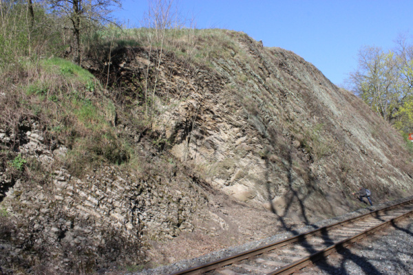 Na lokalitě Železniční zářez v Praze - Hlubočepích je možné nalézt hojné zbytky kapradin devonského stáří (lokalita 1).