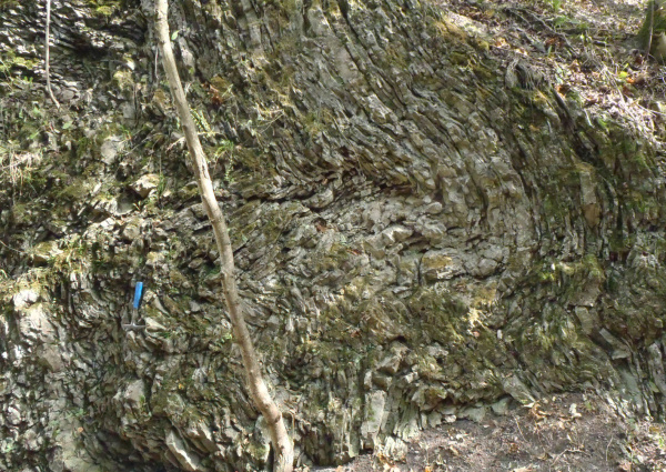 Ležatá vrása u vstupu k Hlubočepskému jezírku dokládá jeden ze způsobů deformace hornin během variského vrásnění v období svrchního devonu až karbonu (lokalita 3).