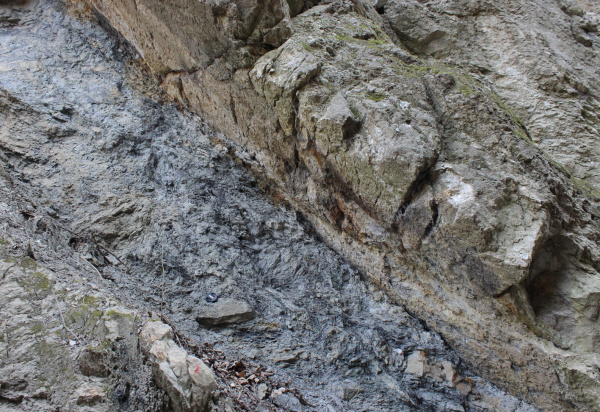 Zlom odkrytý v opuštěném lomu poblíž Hlubočepského jezírka je dalším projevem deformace hornin během vrásnění nebo v mladších obdobích (lokalita 4).