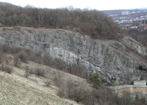 Ve spodní části stěny Svatoprokopského lomu je odkryta kalová kupa – útvar podobný korálovému útesu (lokalita 5).
