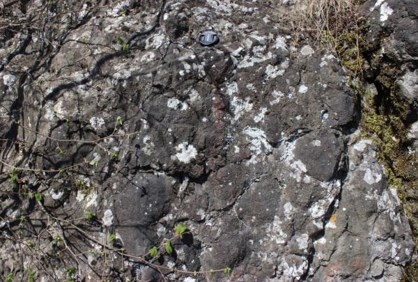 V oblasti Nové Vsi u Jinonic se před asi 430 miliony let nacházela podmořská sopka. Láva vytékající na mořské dno utvářela charakteristické polštářové útvary (lokalita 7). 