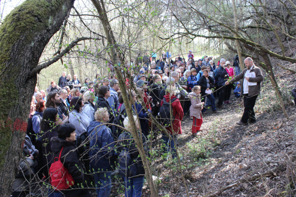 Kde v Praze před stovkami milionů let soptila podmořská sopka a kde uvidíme pozůstatky dávných středočeských velehor? Po kom se jmenuje Barrandov? To vše se dozvěděli návštěvníci exkurze od Františka Vacka z Mineralogicko – petrologického oddělení Národního muzea