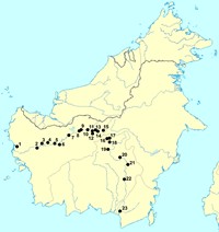 Itinerář Boháčovy expedice na Borneo roku 1920 (zdroj: Mlíkovský)