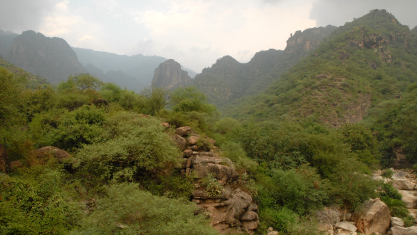 Západní Jemen (Džebel Bura)