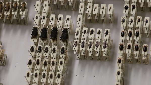 Sbírka grafika Bohumila Štícha. Zdroj: Národní muzeum Fotografie. Sbírka grafika Bohumila Štícha. Zdroj: Národní muzeum