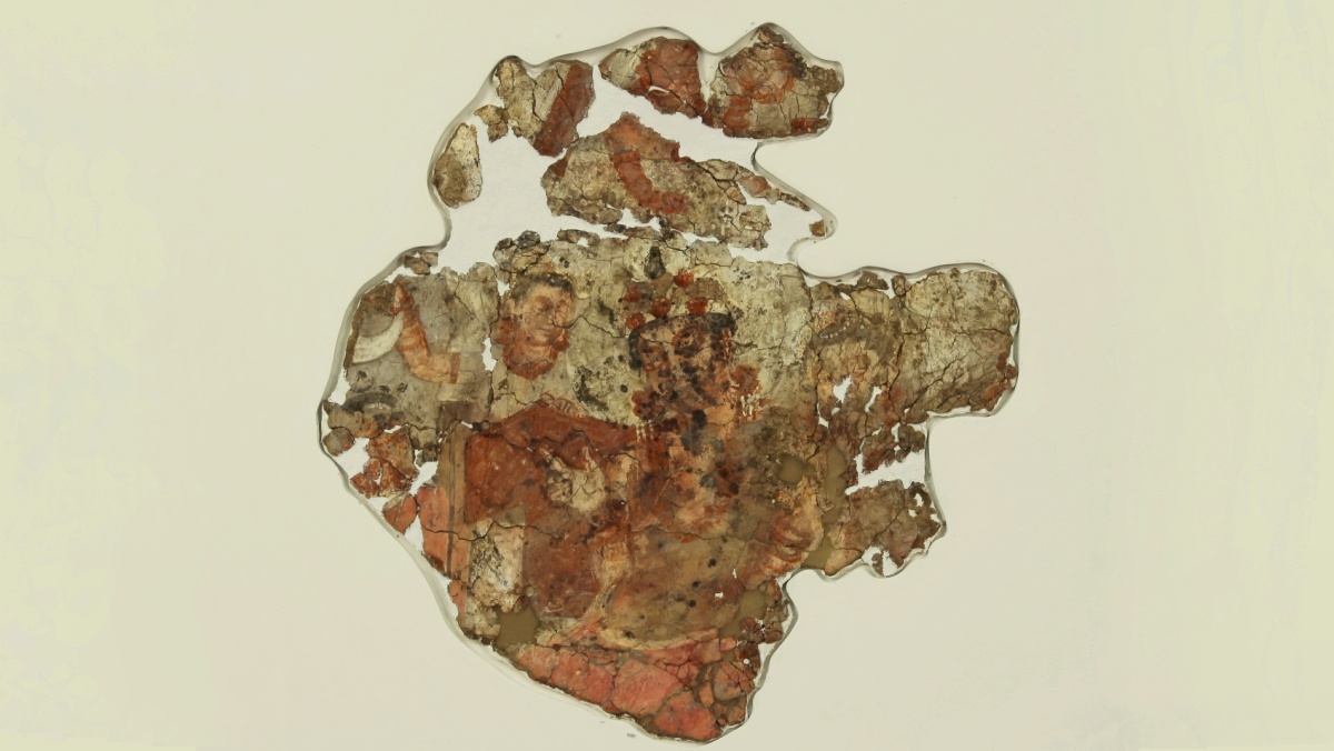 Fotografie. Stav malby po adjustaci. Zdroj: Národní muzeum