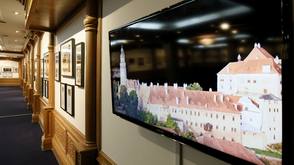 Pohled do výstavy pohled do výstavy - foto