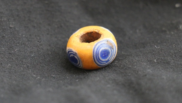 Korálek s jednou řadou modro-bílých oček. Zdroj: Národní muzeum Fotografie. Korálek s jednou řadou modro-bílých oček. Zdroj: Národní muzeum