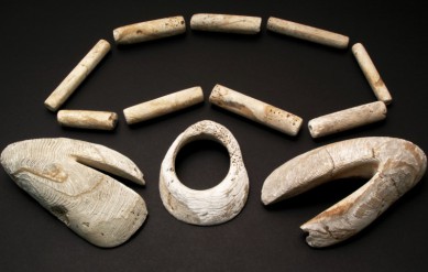 Fotografie. Ozdoby zhotovené ze schránek mořského mlže ostnovky středomořské (Spondylus gaederopus) z Kadaně. Spondylový šperk nalézáme téměř výhradně v hrobech nejstarších zemědělců ze starší fáze mladší doby kamenné (2. pol. 6. tis. př. n. l.). Foto L. Káchová.