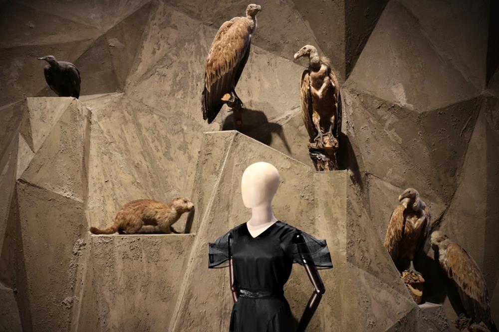 Model Zita, Eva France – Couture pour les femmes, 2016. Zdroj: Národní muzeum