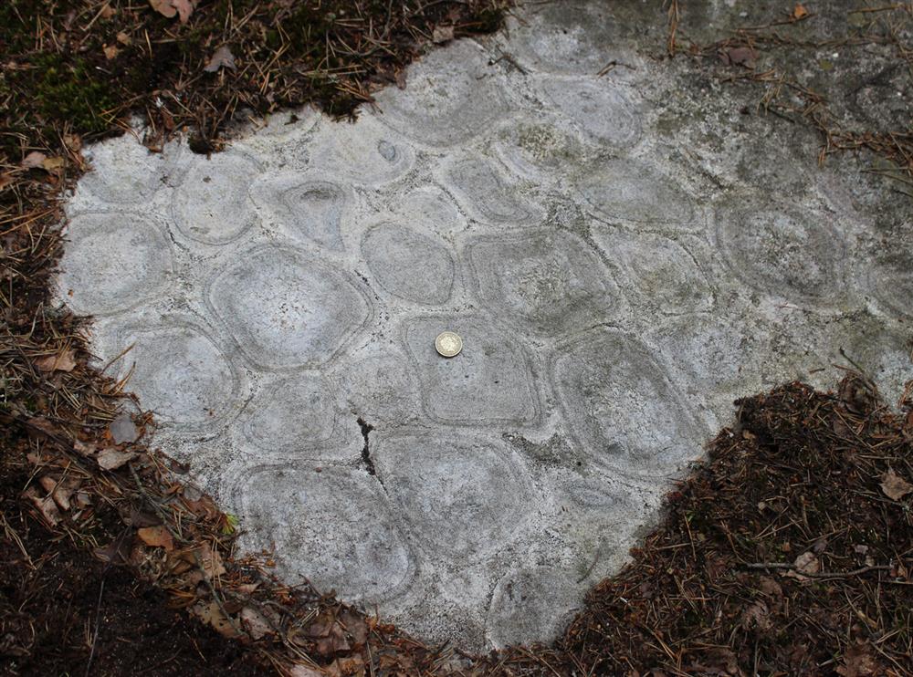 Drobný výchoz orbikulárního syenodioritu v národním parku Nuuksio v jižním Finsku. Foto: F. Vacek.